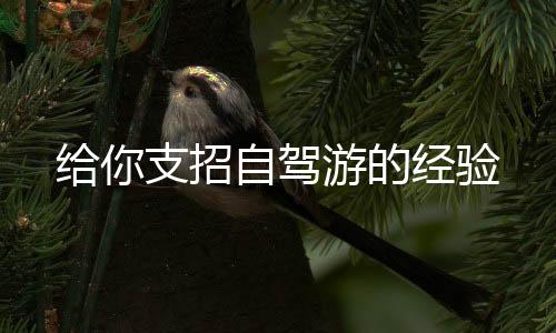 给你支招自驾游的经验