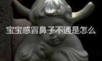 宝宝感冒鼻子不通是怎么回事呢？