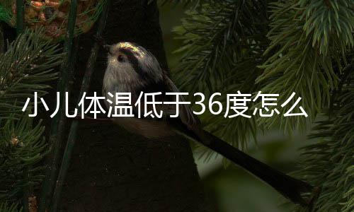 小儿体温低于36度怎么办