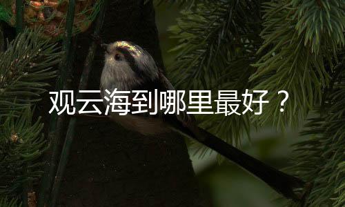 观云海到哪里最好？